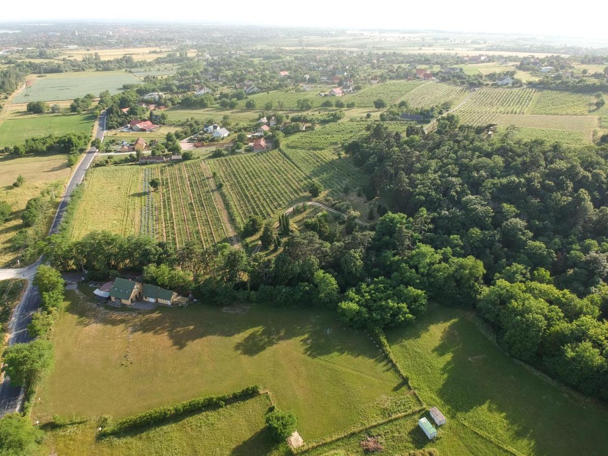 Pilikan Apartments - Park, Agroturism, Vineyard & Farm Cserszegtomaj Extérieur photo