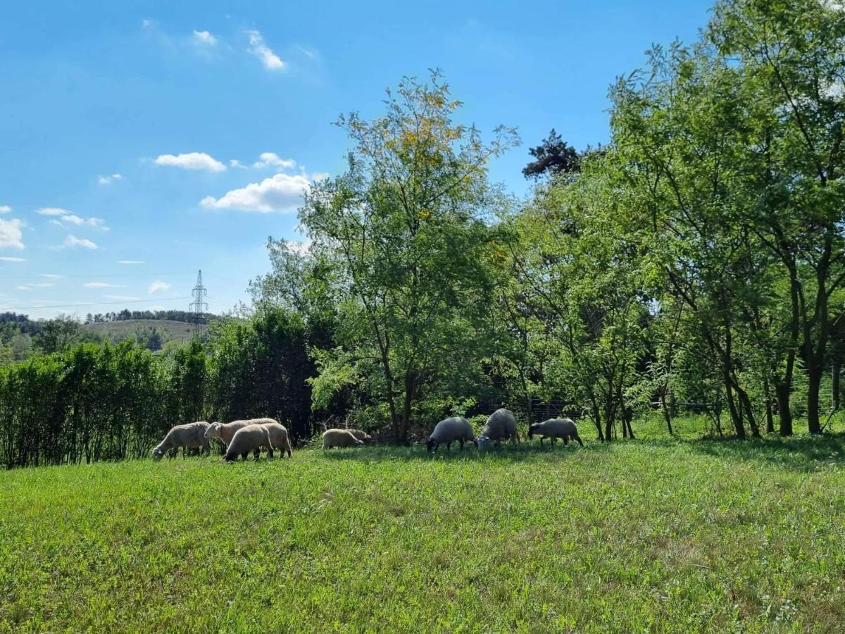 Pilikan Apartments - Park, Agroturism, Vineyard & Farm Cserszegtomaj Extérieur photo